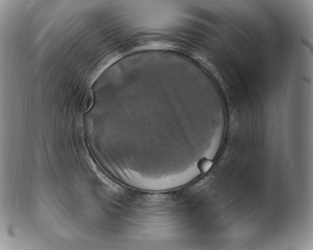 X0000100501425200806271249