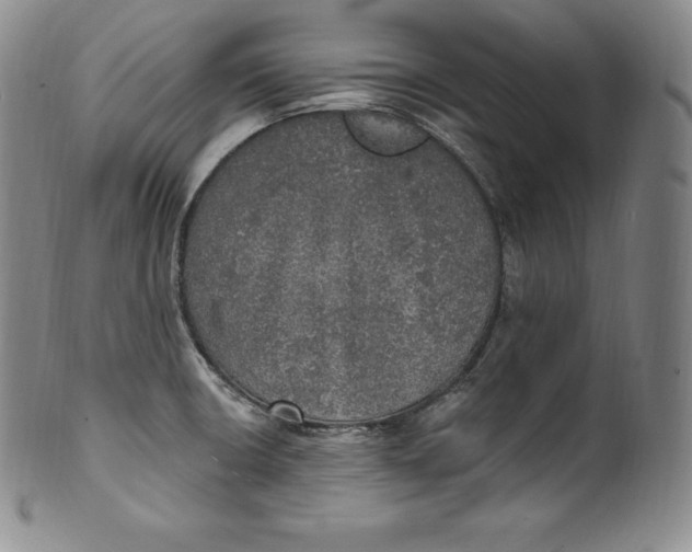 X0000100501426200806271249