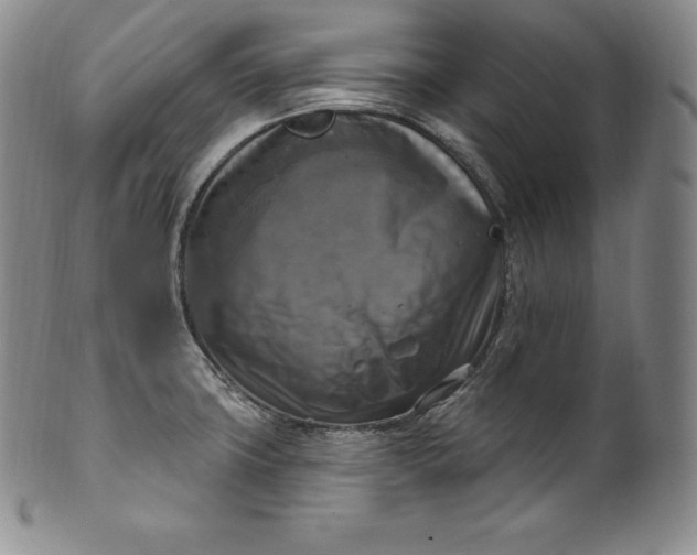 X0000100501427200806271249