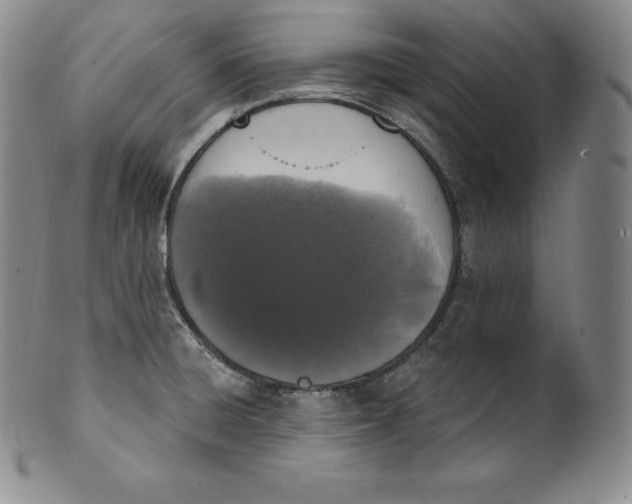 X0000100501428200806271249