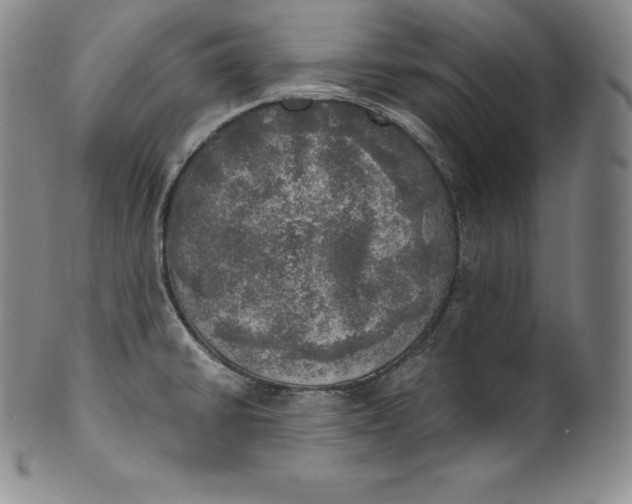 X0000100501430200806271249