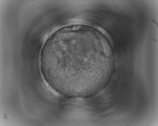 X0000100501431200806271249