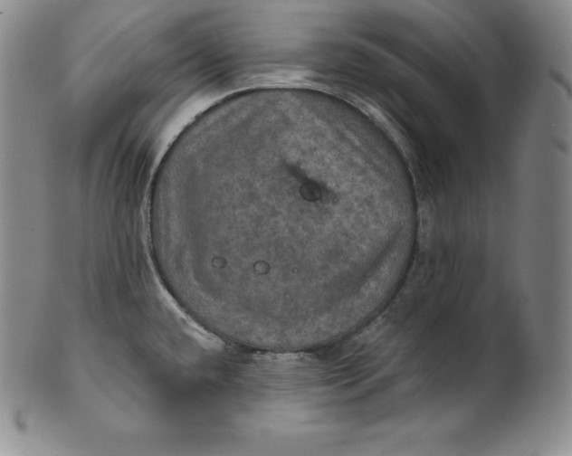 X0000100501432200806271249