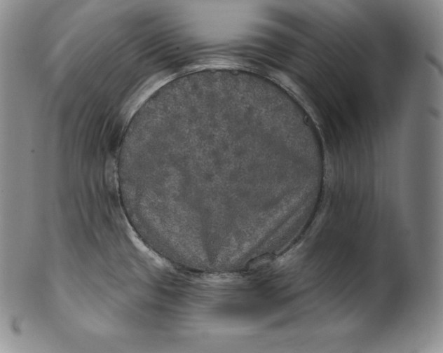 X0000100501433200806271249