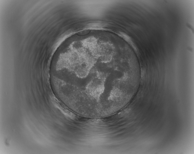 X0000100501435200806271249