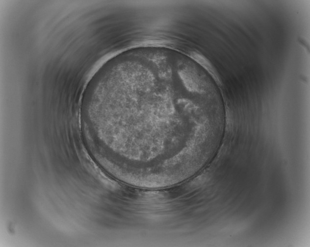 X0000100501436200806271249