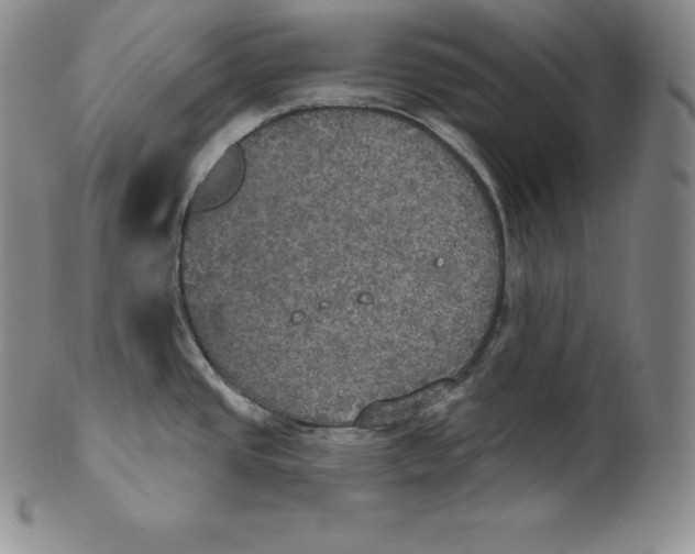 X0000100501437200806271249