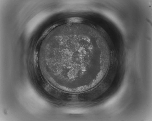 X0000100501438200806271249