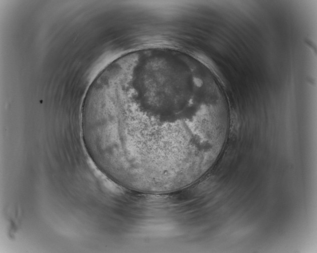 X0000100501439200806271249