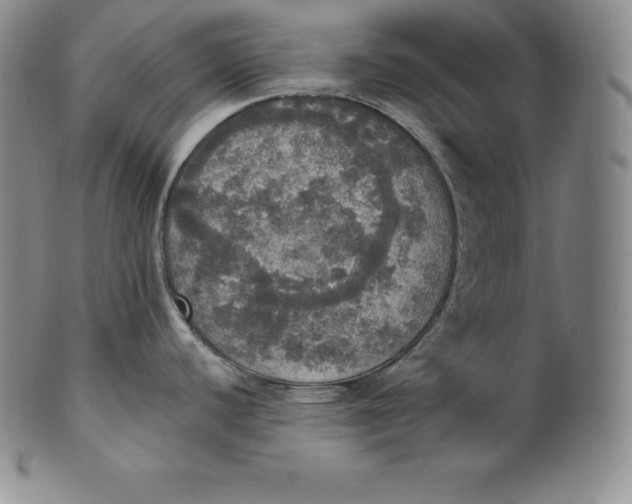 X0000100501440200806271249