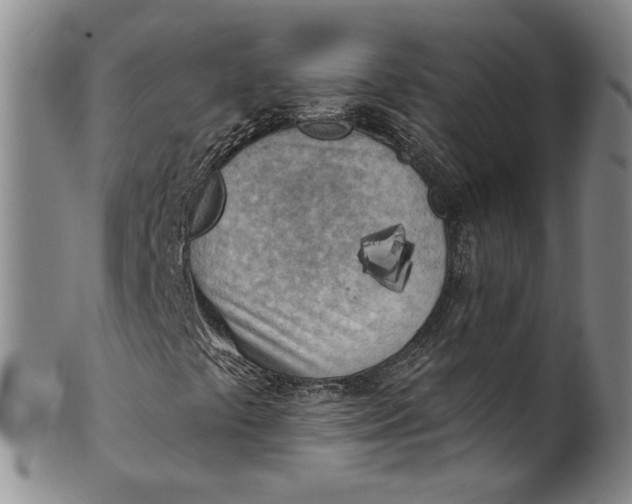 X0000100501441200806271249