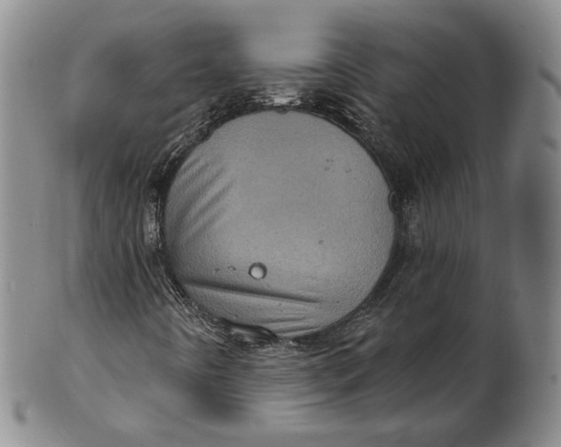 X0000100501442200806271249