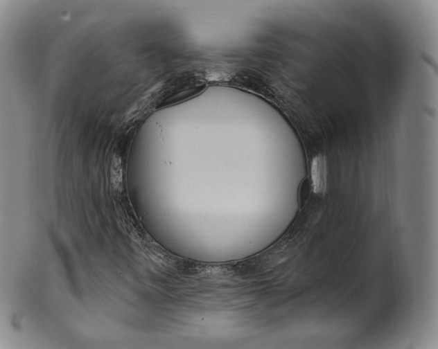 X0000100501443200806271249