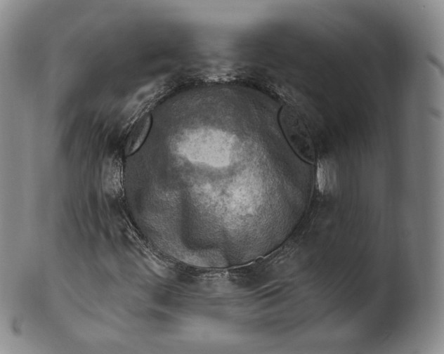 X0000100501444200806271248