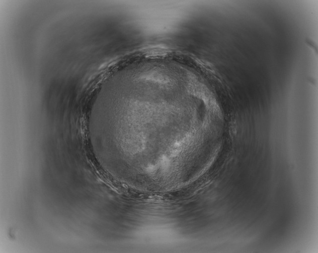 X0000100501445200806271248