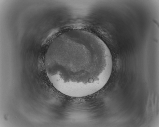 X0000100501446200806271248