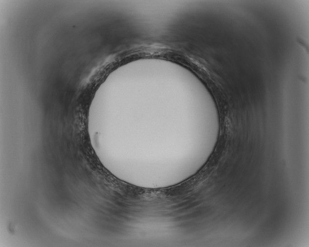 X0000100501447200806271248