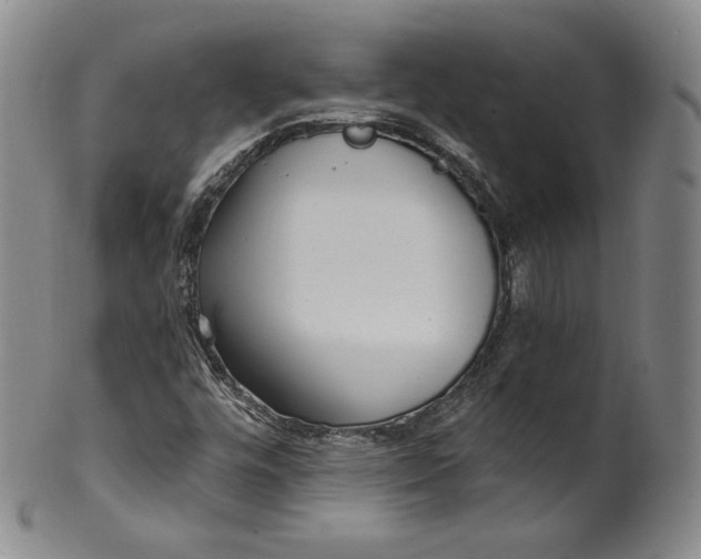 X0000100501448200806271248