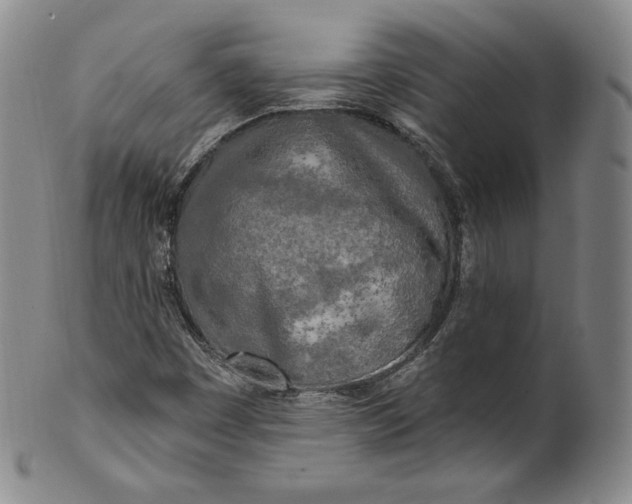 X0000100501449200806271248