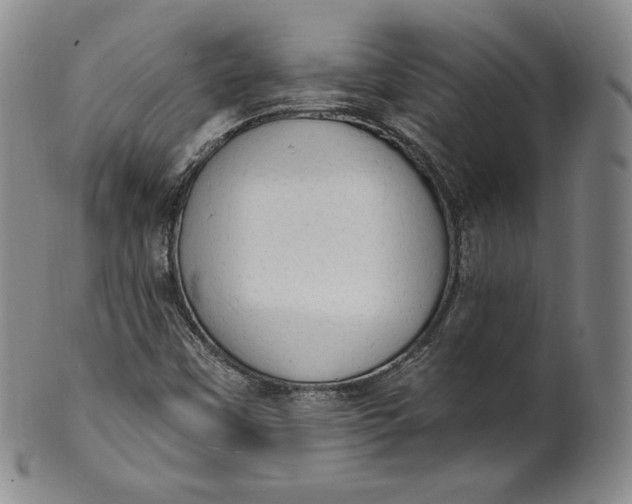 X0000100501451200806271248