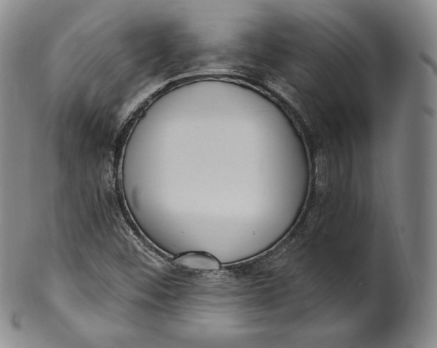 X0000100501452200806271248