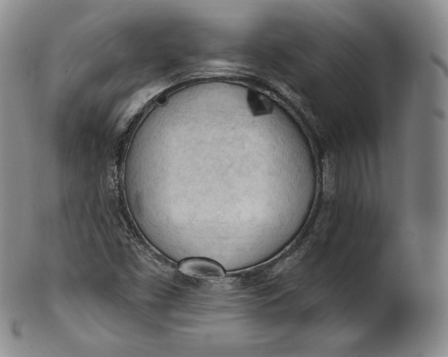 X0000100501453200806271248