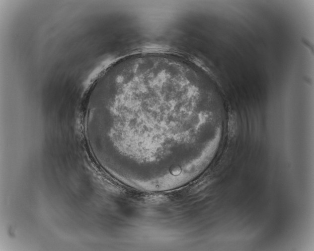 X0000100501454200806271248