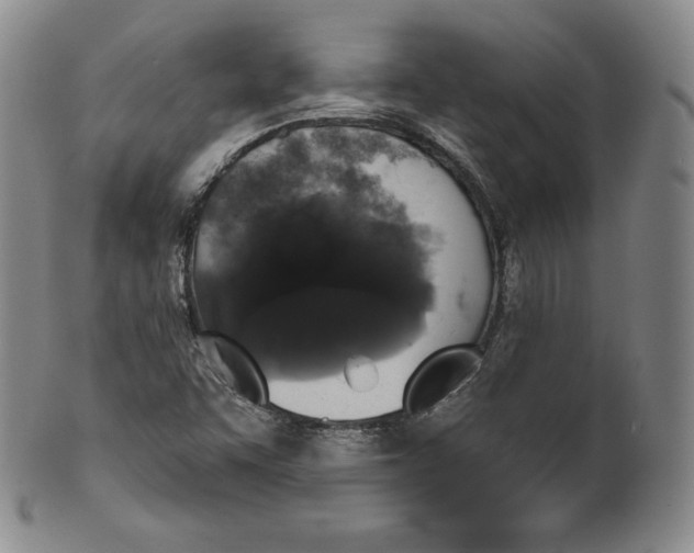 X0000100501455200806271248