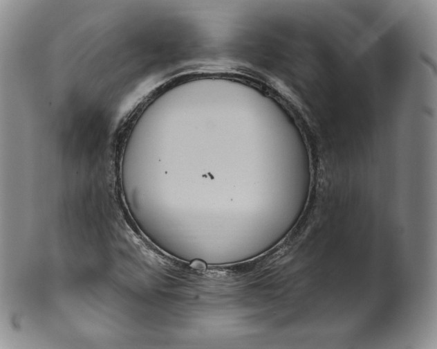 X0000100501456200806271248