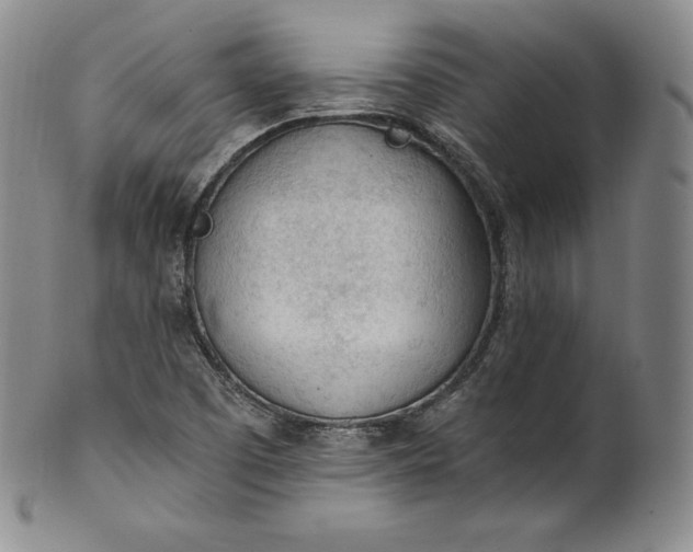 X0000100501457200806271248