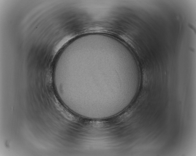 X0000100501458200806271248