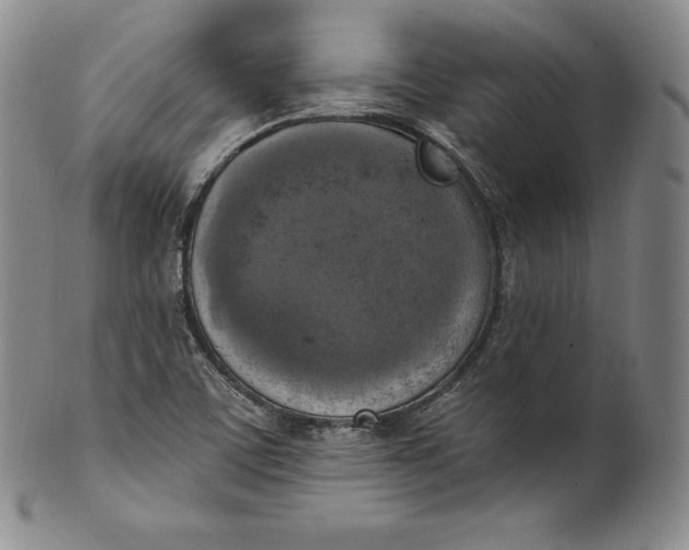 X0000100501459200806271248