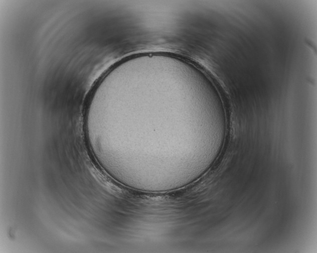 X0000100501460200806271248