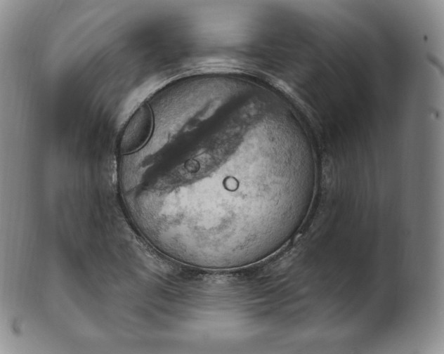 X0000100501461200806271248