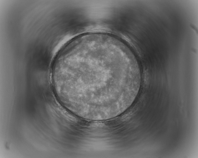 X0000100501462200806271248