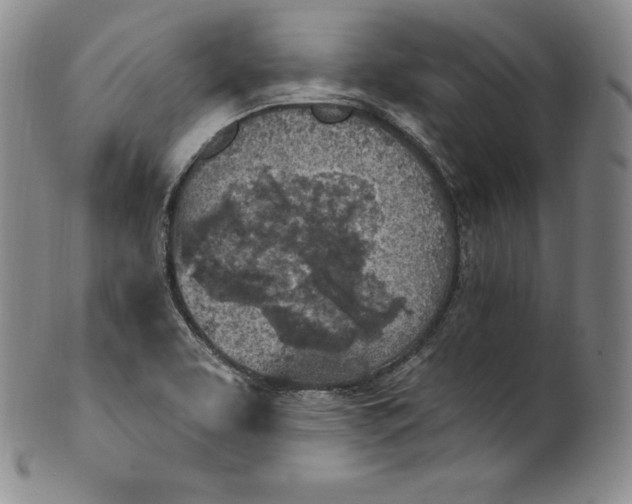 X0000100501463200806271248