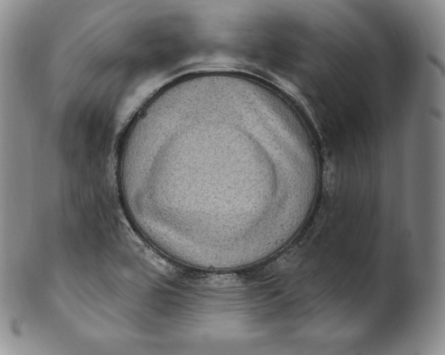 X0000100501464200806271248