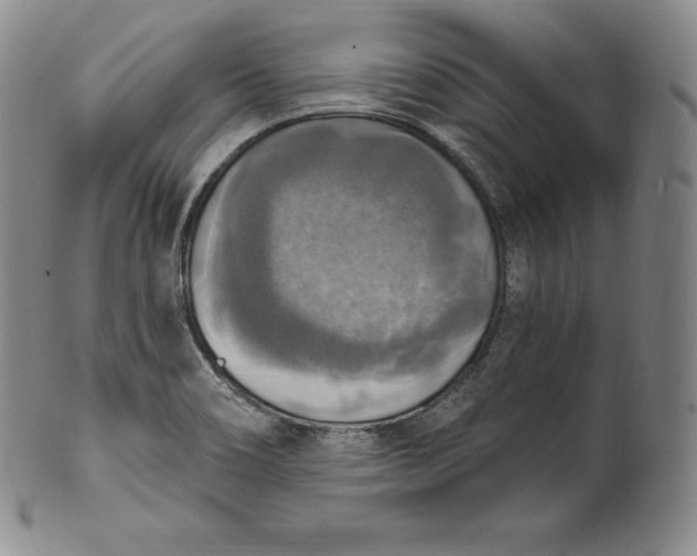 X0000100501466200806271248