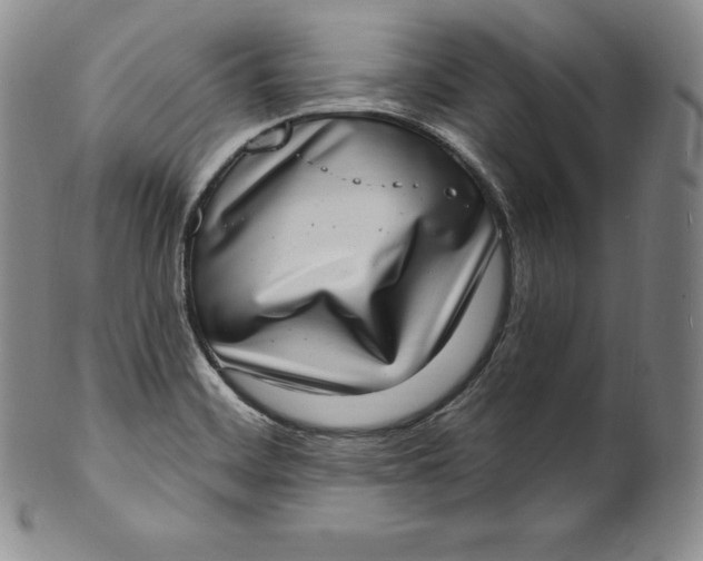 X0000100501468200806271248