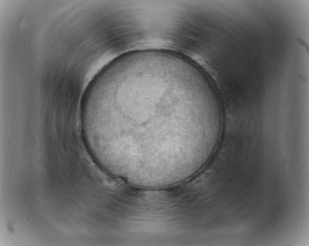 X0000100501469200806271248