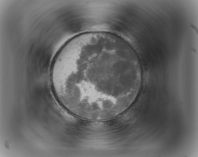 X0000100501470200806271248