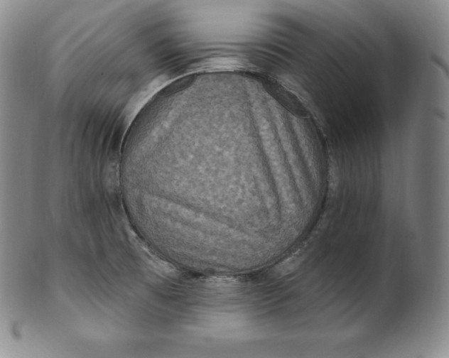 X0000100501473200806271248