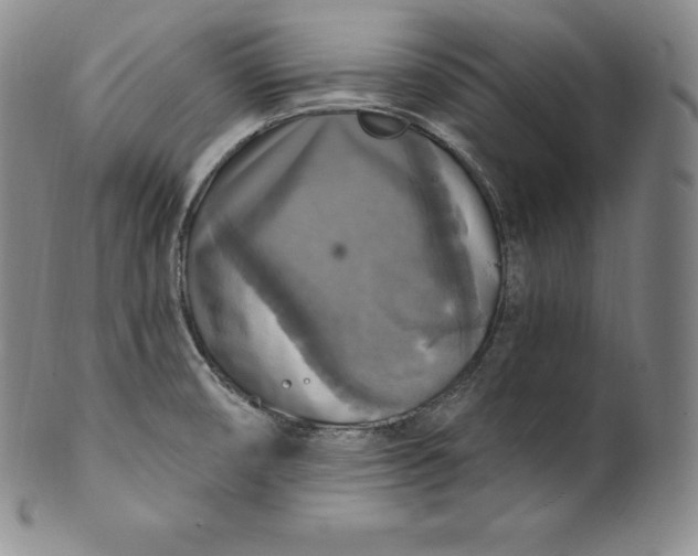 X0000100501474200806271248