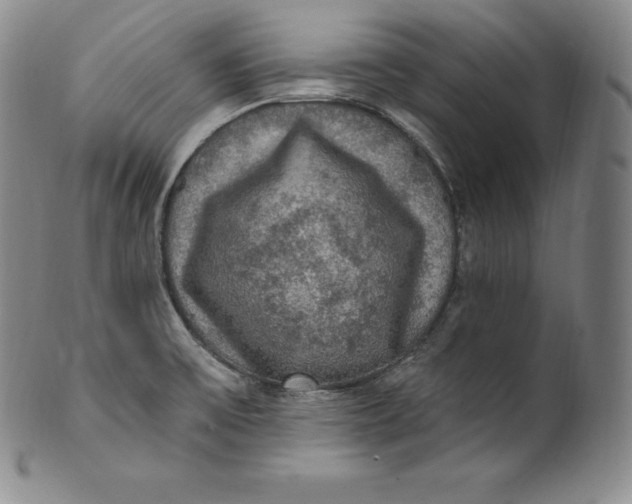 X0000100501475200806271248