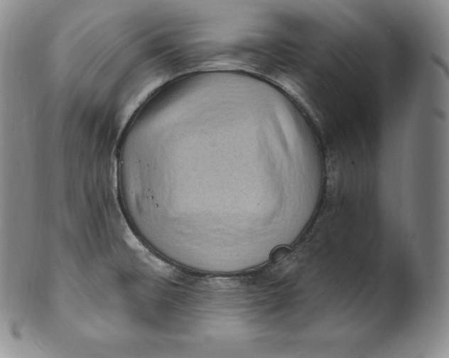 X0000100501476200806271248