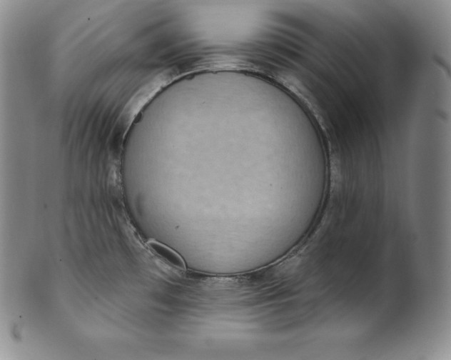 X0000100501481200806271248