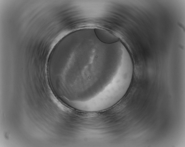 X0000100501482200806271248