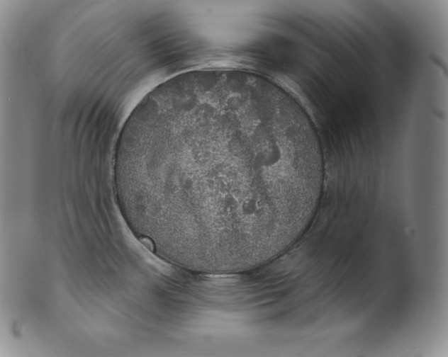 X0000100501483200806271248