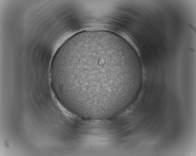 X0000100501485200806271248