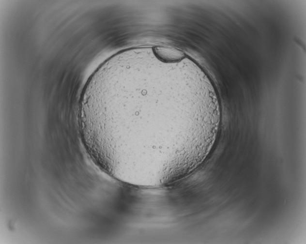 X0000100501486200806271248